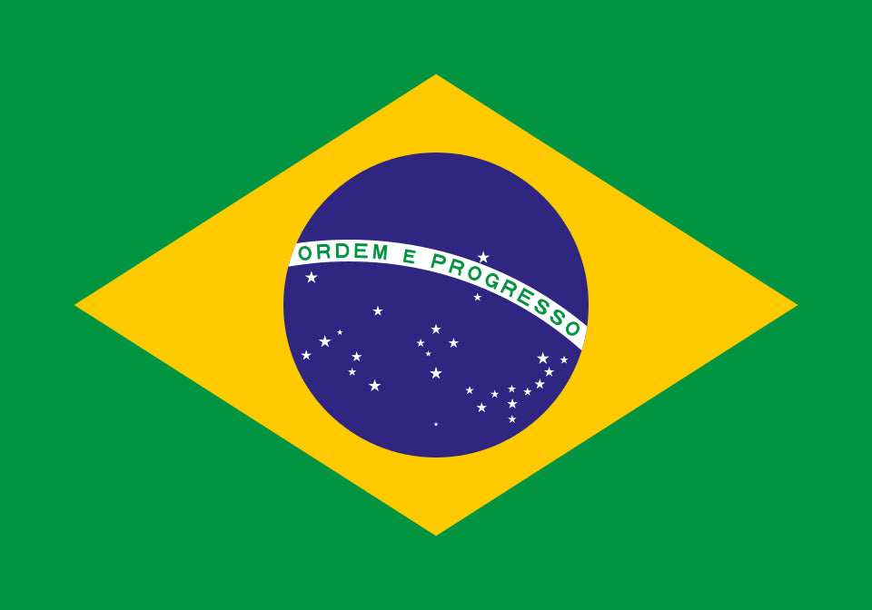 Roast #4 October 13, 2026 Brazil Mata De Minas Pulped Natural