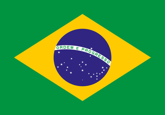 Roast #4 October 13, 2026 Brazil Mata De Minas Pulped Natural