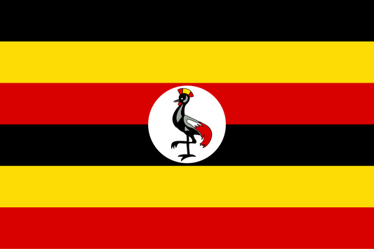 Roast #5 October 20, 2026 Uganda Mt Elgon, Black Honey 2026